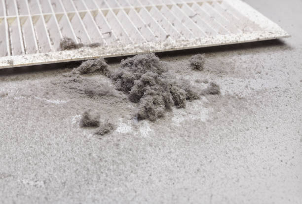 Best Affordable Air Duct Cleaning  in Lakeside, VA